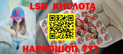 Альфа ПВП Будённовск