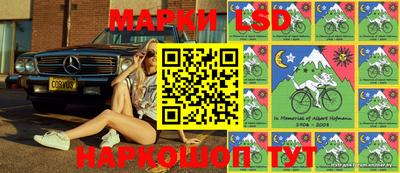 Альфа ПВП Будённовск