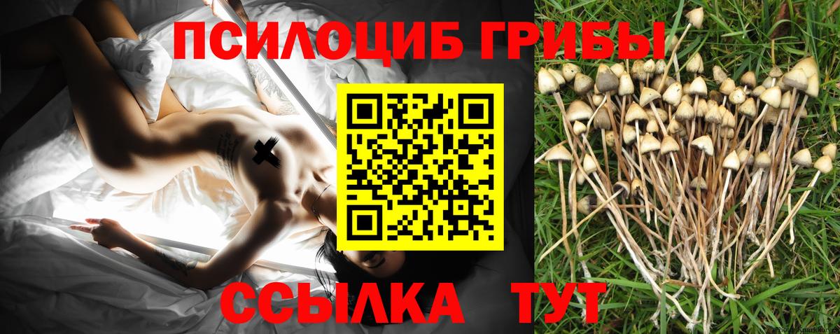 Галлюциногенные грибы мухоморы  Вход с VPN  Ликино-Дулёво 